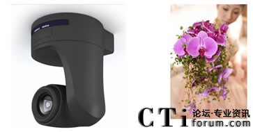 �������^���r��������